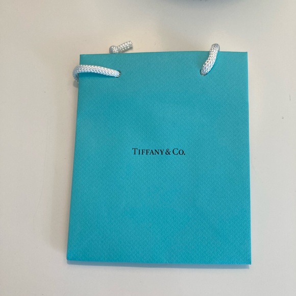 Tiffany and Co.’s Infinity Endless Necklace - Picture 6 of 11